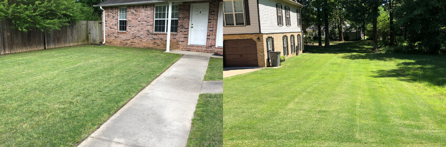 Lawn Care Services