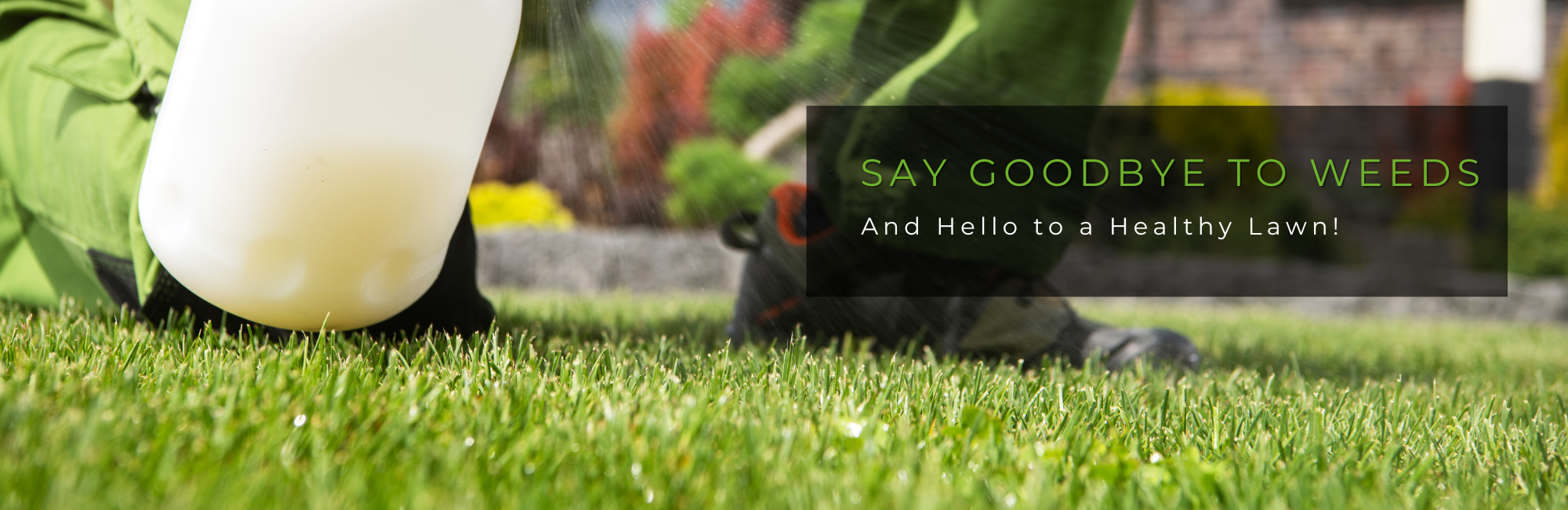 lawn care professional treating a lawn for weeds
