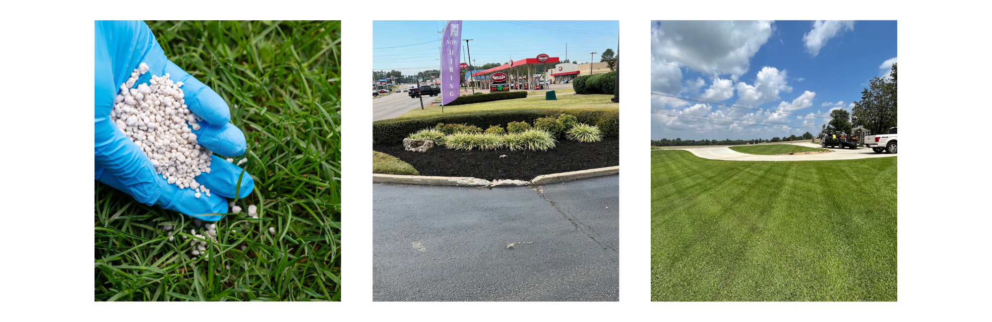 collage featuring lawns treated for weed control